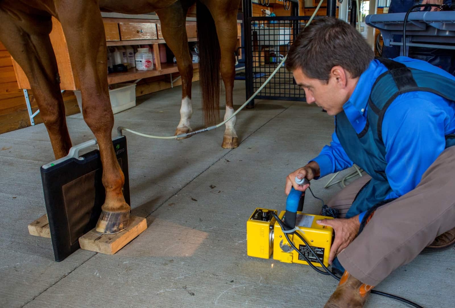 Veterinarian capturing a portable X-ray of a horse's lower leg with a flat panel detector